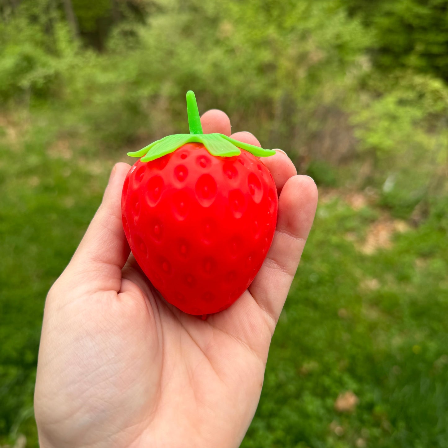 Squishy Toy - Strawberry